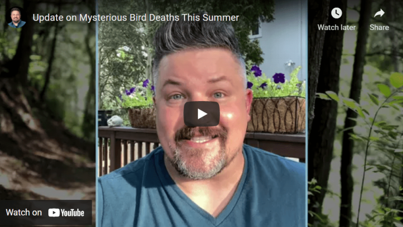 David Mizejewski speaks in a video about mysterious bird deaths
