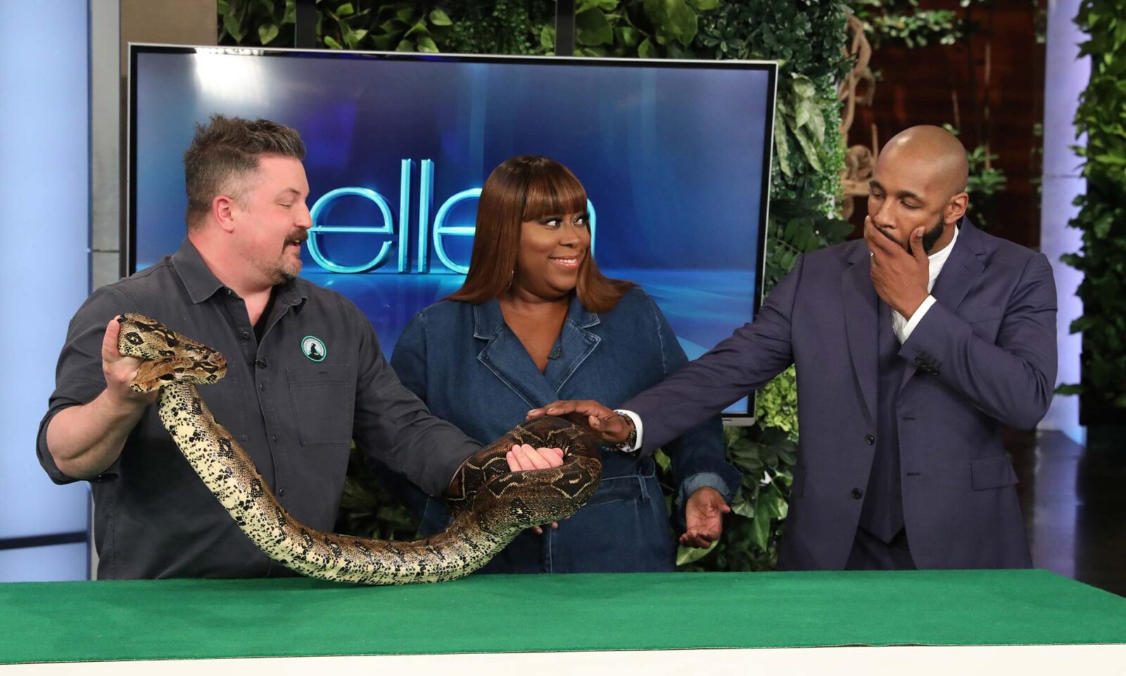 David Mizejewski holds a snake on the Ellen show. Loni Love looks on as Stephen "tWitch" Boss carefully touches the snake.