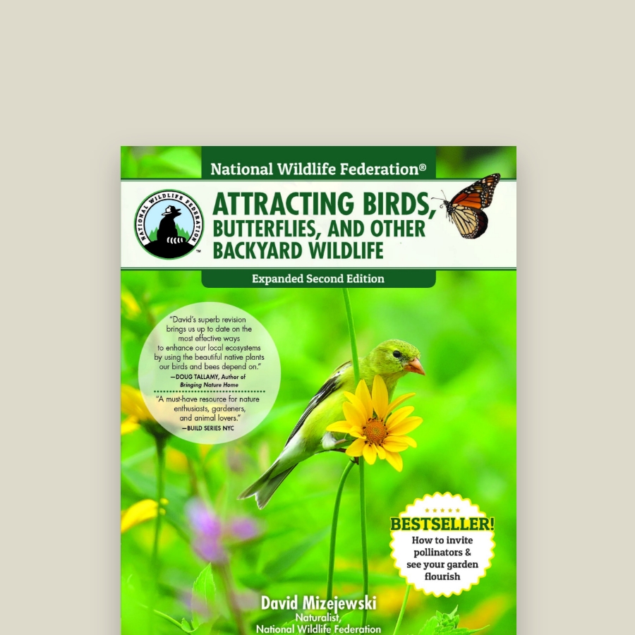 Attracting Birds, Butterflies, and Other Backyard Wildlife.